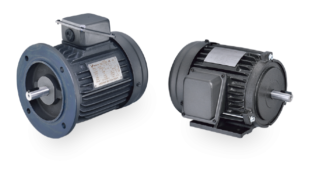 IEC Low Voltage Induction Motors